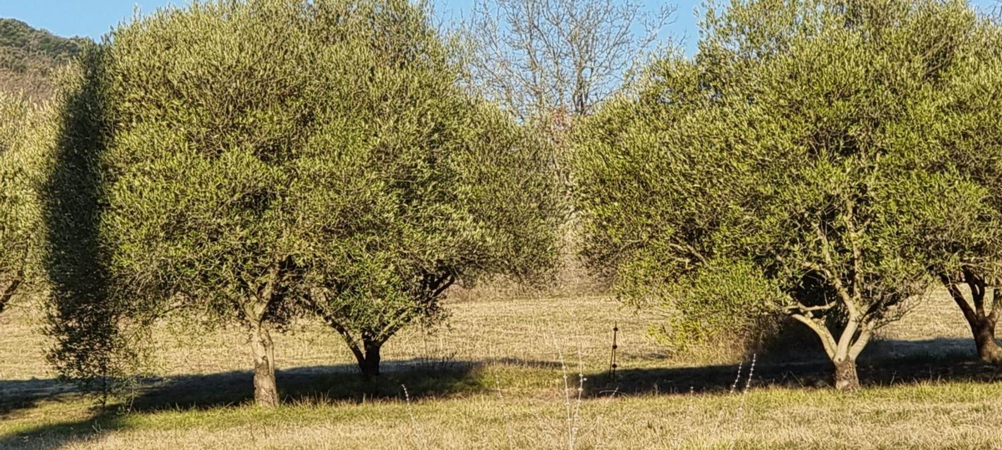 Готель Domaine Du Moulin De Cors Ла-Рок-сюр-Сез Екстер'єр фото