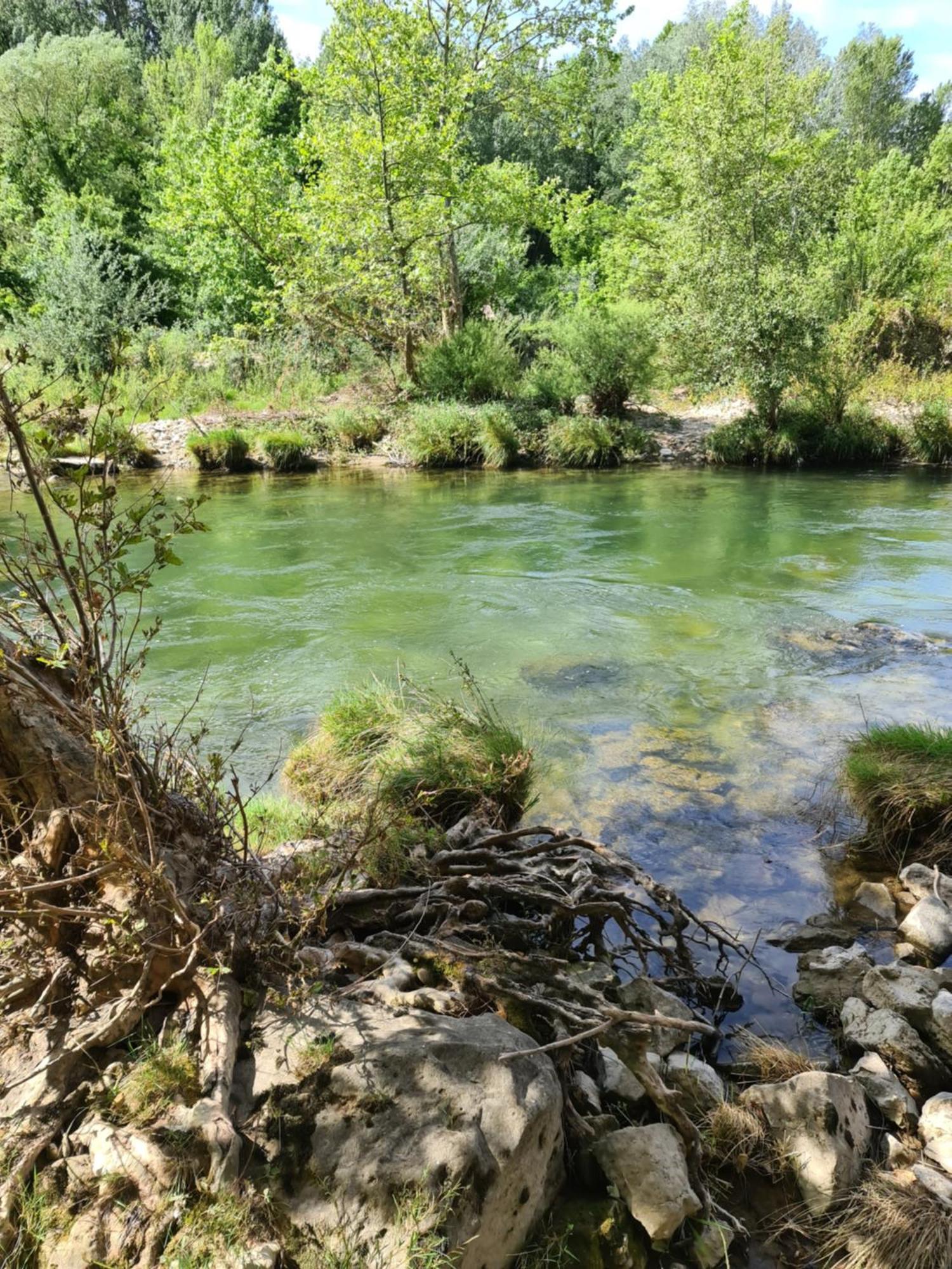Готель Domaine Du Moulin De Cors Ла-Рок-сюр-Сез Екстер'єр фото